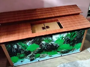 Fish Tank