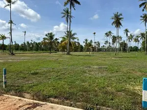 වාරියපොළ නගරයෙන්ම සින්නක්කර බිම්කොටස් විකිණීමට
