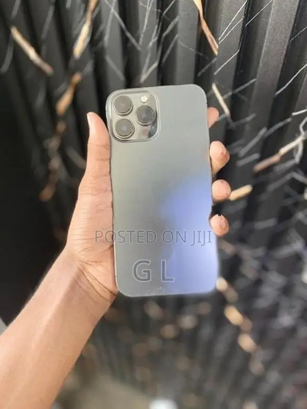 Apple iPhone 13 Pro Max (Used)
