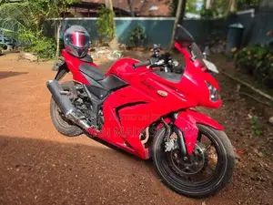 Kawasaki Ninja 250 2021