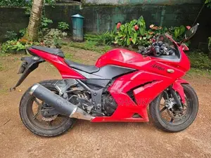 Kawasaki Ninja 250 2021