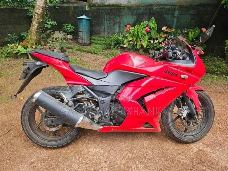 Kawasaki Ninja 250 2021
