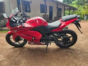 Kawasaki Ninja 250 2021