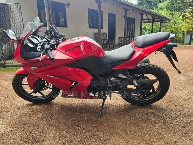 Kawasaki Ninja 250 2021