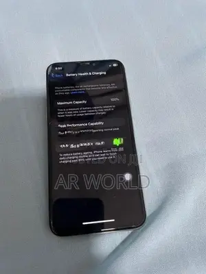 Apple iPhone X 256GB (Used)