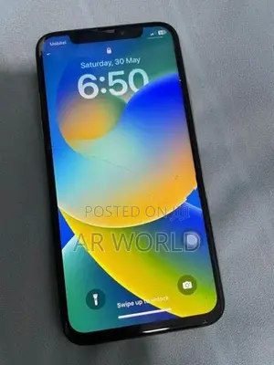 Apple iPhone X 256GB (Used)