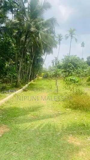 Land for Sale Kadawatha