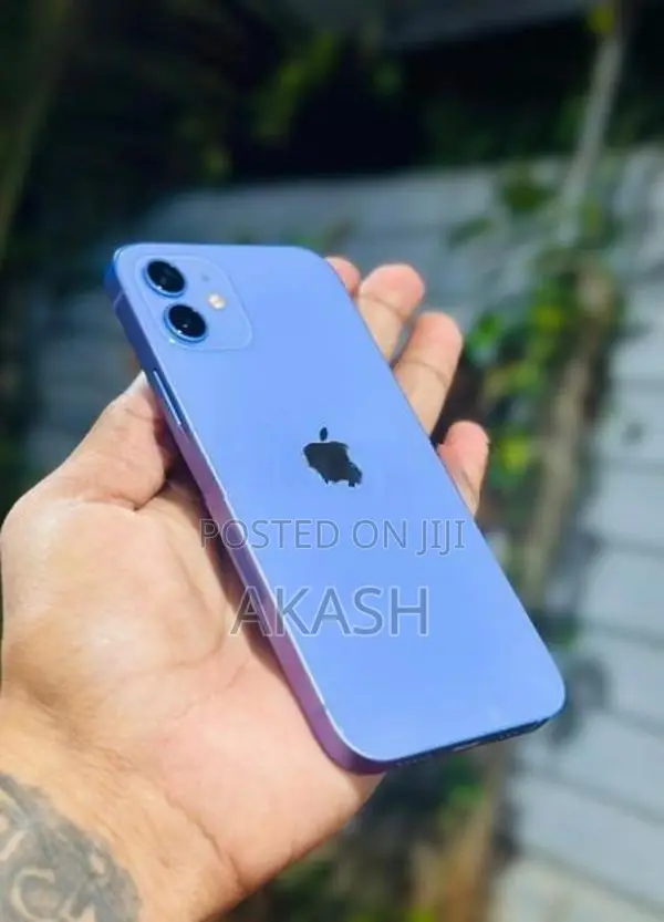 Apple iPhone 12 (Used)