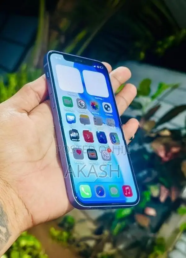 Apple iPhone 12 (Used)