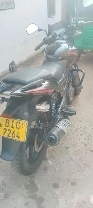 Bajaj Pulsar 150 2019