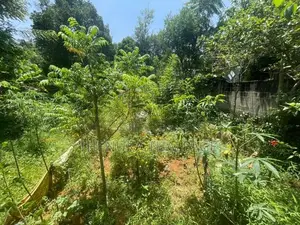 Land for Sale in Bandarawela