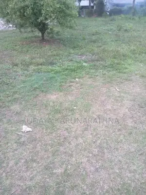 Land for Sale Wallampitiya
