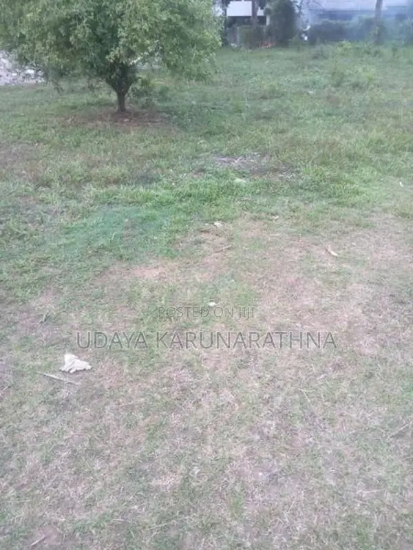 Land for Sale Wallampitiya
