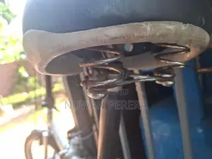 Folding Bicycle
