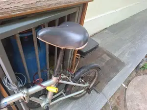 Folding Bicycle