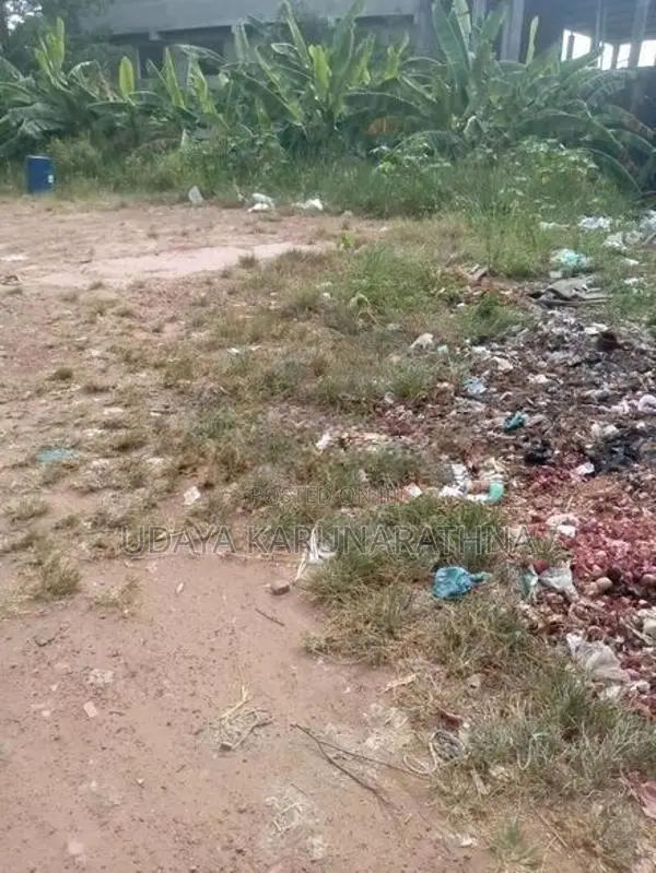 Land for Sale Wallampitiya