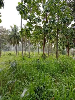 Land for Sale වැල්ලව