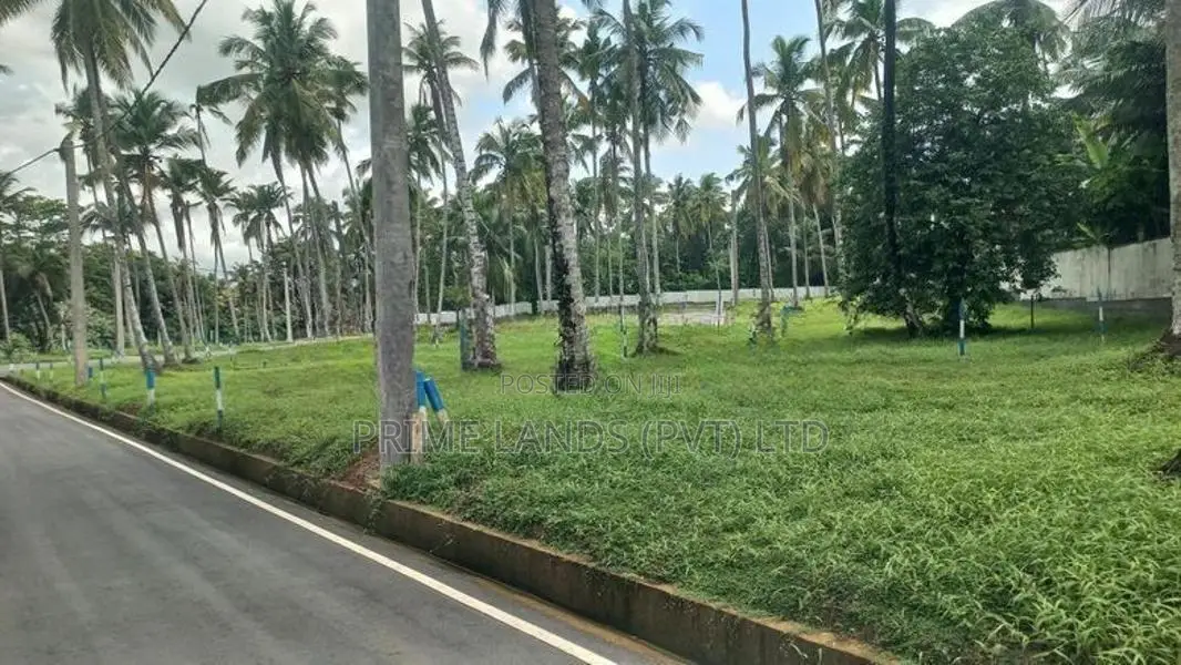 යක්කල නගරයෙන්ම ඉඩමක් විකිණීමට