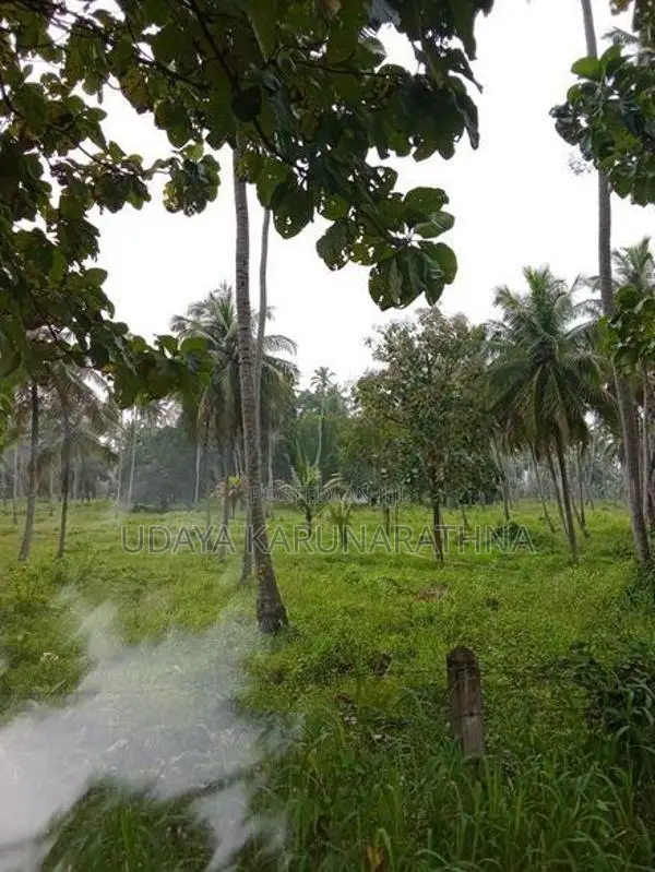 Land for Sale වැල්ලව