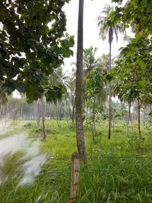 Land for Sale වැල්ලව