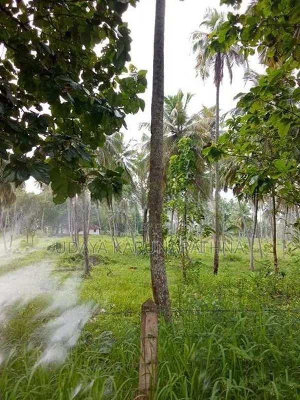 Land for Sale වැල්ලව