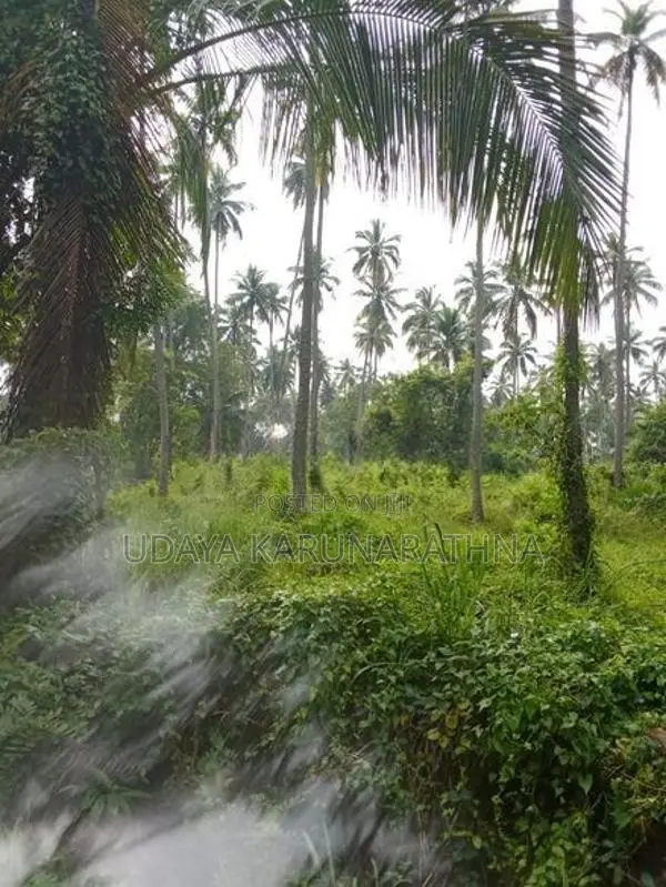 Land for Sale වැල්ලව
