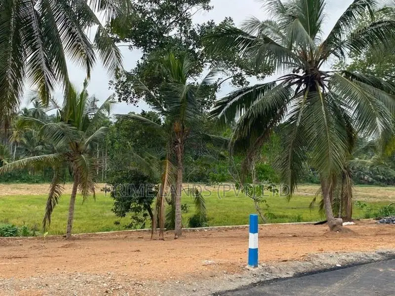 කඩවත ඉඩමක් විකිණීමට