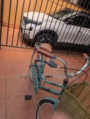 Stallion Ladies Bicycle