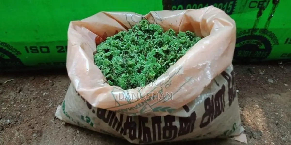 அசோலா