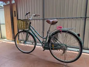 Stallion Ladies Bicycle