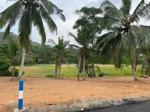 කඩවත ඉඩමක් විකිණීමට
