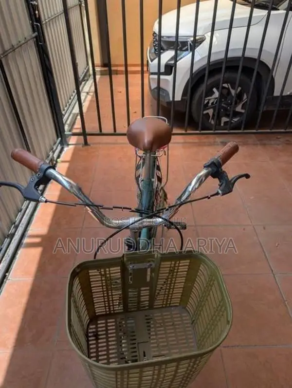 Stallion Ladies Bicycle