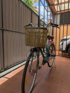 Stallion Ladies Bicycle