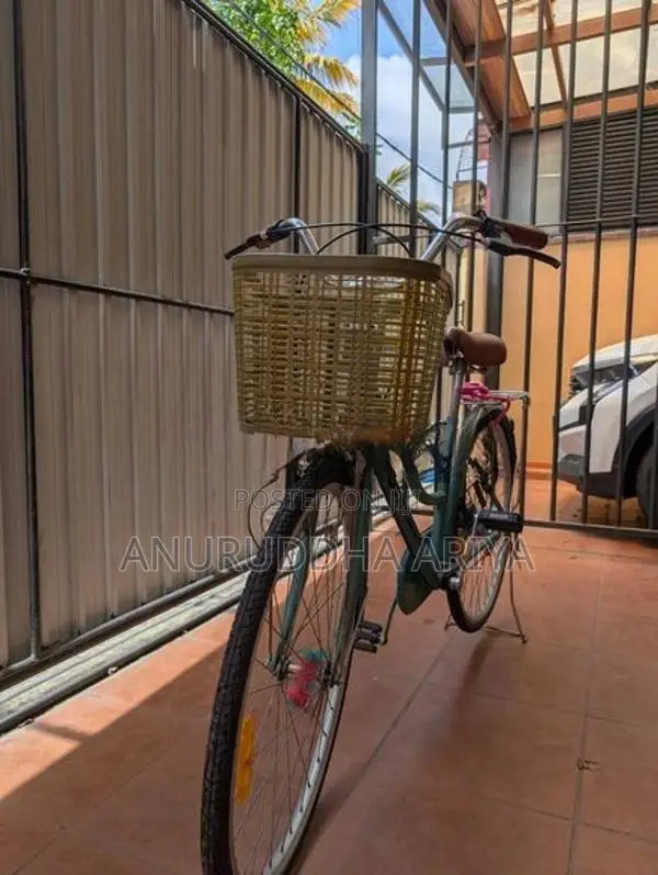 Stallion Ladies Bicycle