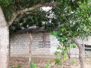 Vavuniya Land for Sale