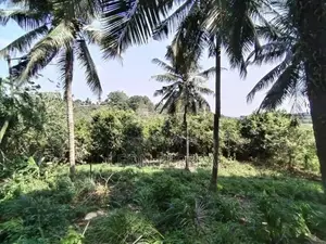 Land for Sale in Malabe (Near SLIIT Campus) 34 Perches