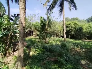 Land for Sale in Malabe (Near SLIIT Campus) 34 Perches