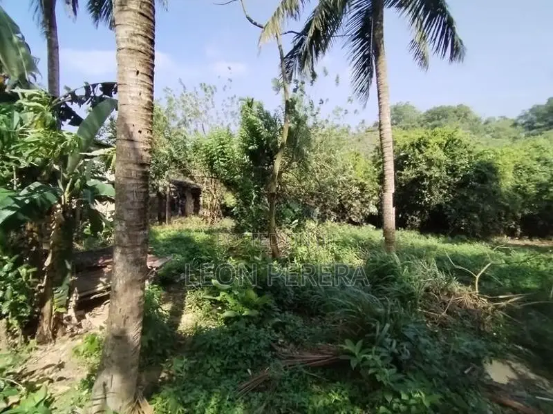 Land for Sale in Malabe (Near SLIIT Campus) 34 Perches