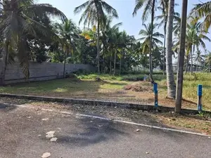 Land For Sale in Raddolugama Scheme- Seeduwa
