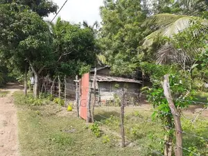 Vavuniya Land for Sale
