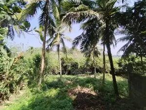 Land for Sale in Malabe (Near SLIIT Campus) 34 Perches