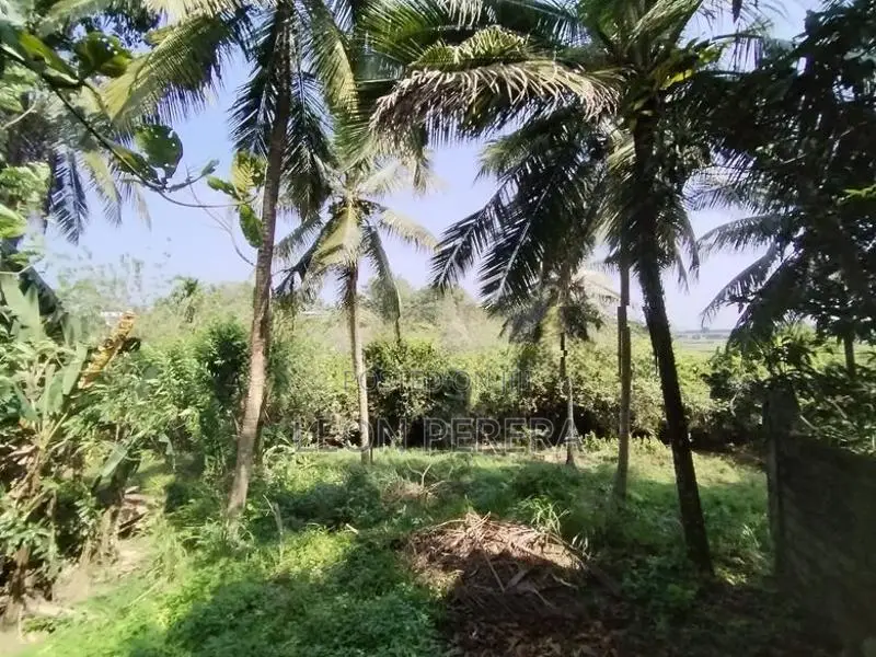 Land for Sale in Malabe (Near SLIIT Campus) 34 Perches