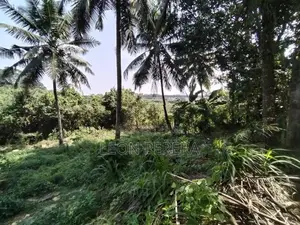Land for Sale in Malabe (Near SLIIT Campus) 34 Perches