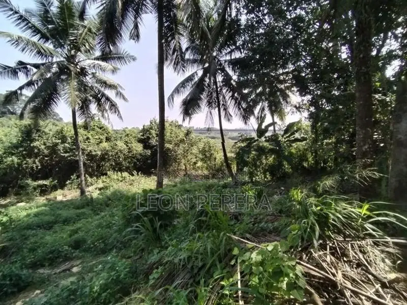Land for Sale in Malabe (Near SLIIT Campus) 34 Perches