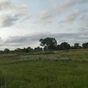 Land for Sale in Medawachchiya