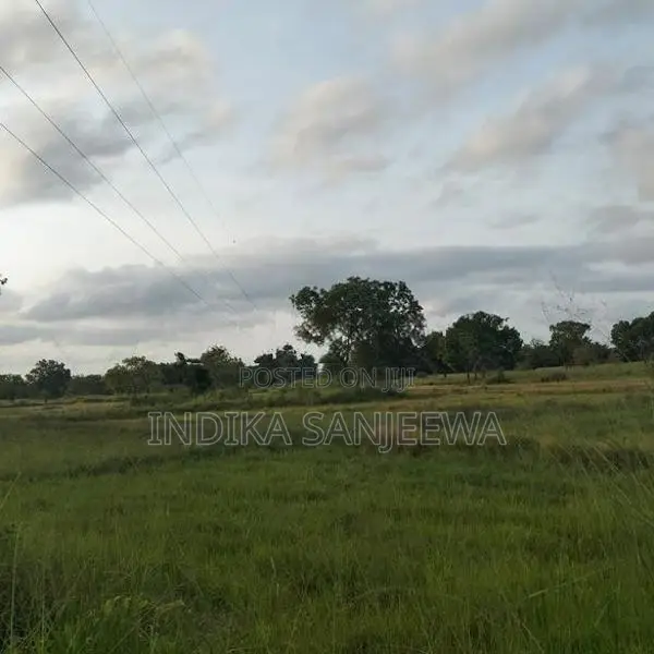 Land for Sale in Medawachchiya