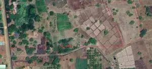 Land for Sale in Medawachchiya