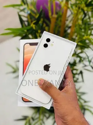 Apple iPhone 12 128GB (Used)