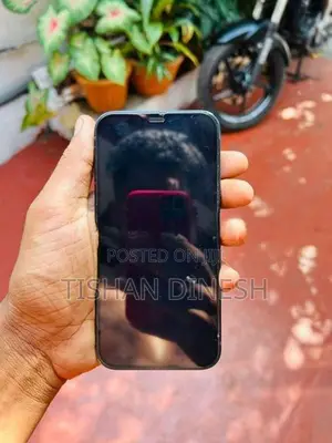 Apple iPhone 12 (Used)