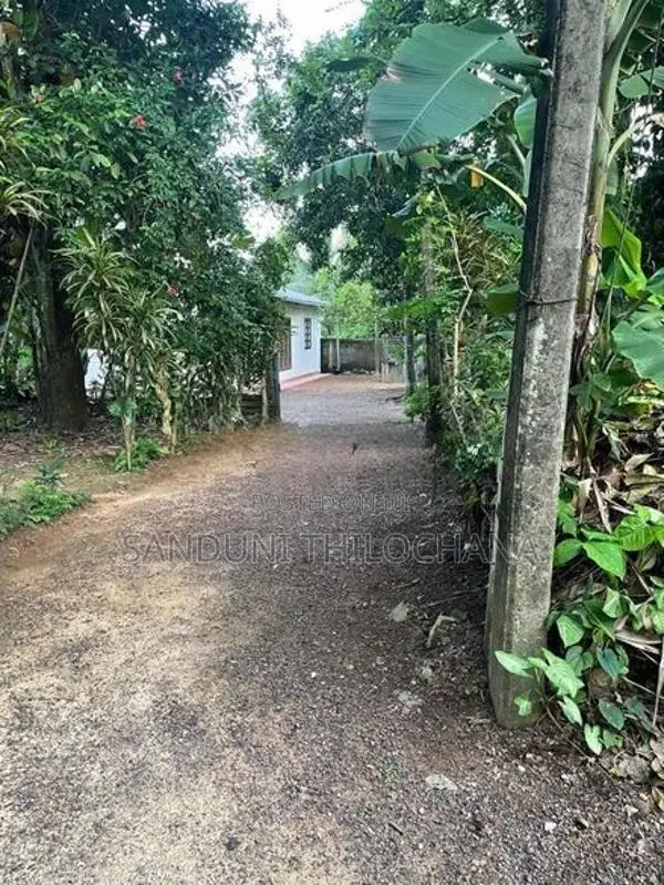 කහතුඩුව දියකඩ පරෙන් හුරුබුහටි නිවසක් විකිණීමට